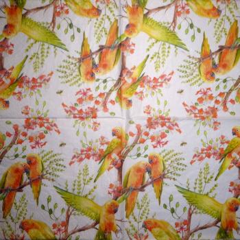 055 Parrot - 3-ply - Converting 2007 - Illustrateo Escapes